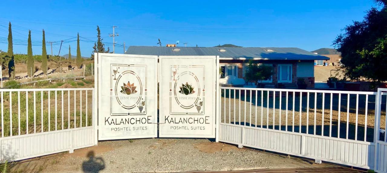 Kalanchoe Poshtel Suites Las Palmas  ภายนอก รูปภาพ